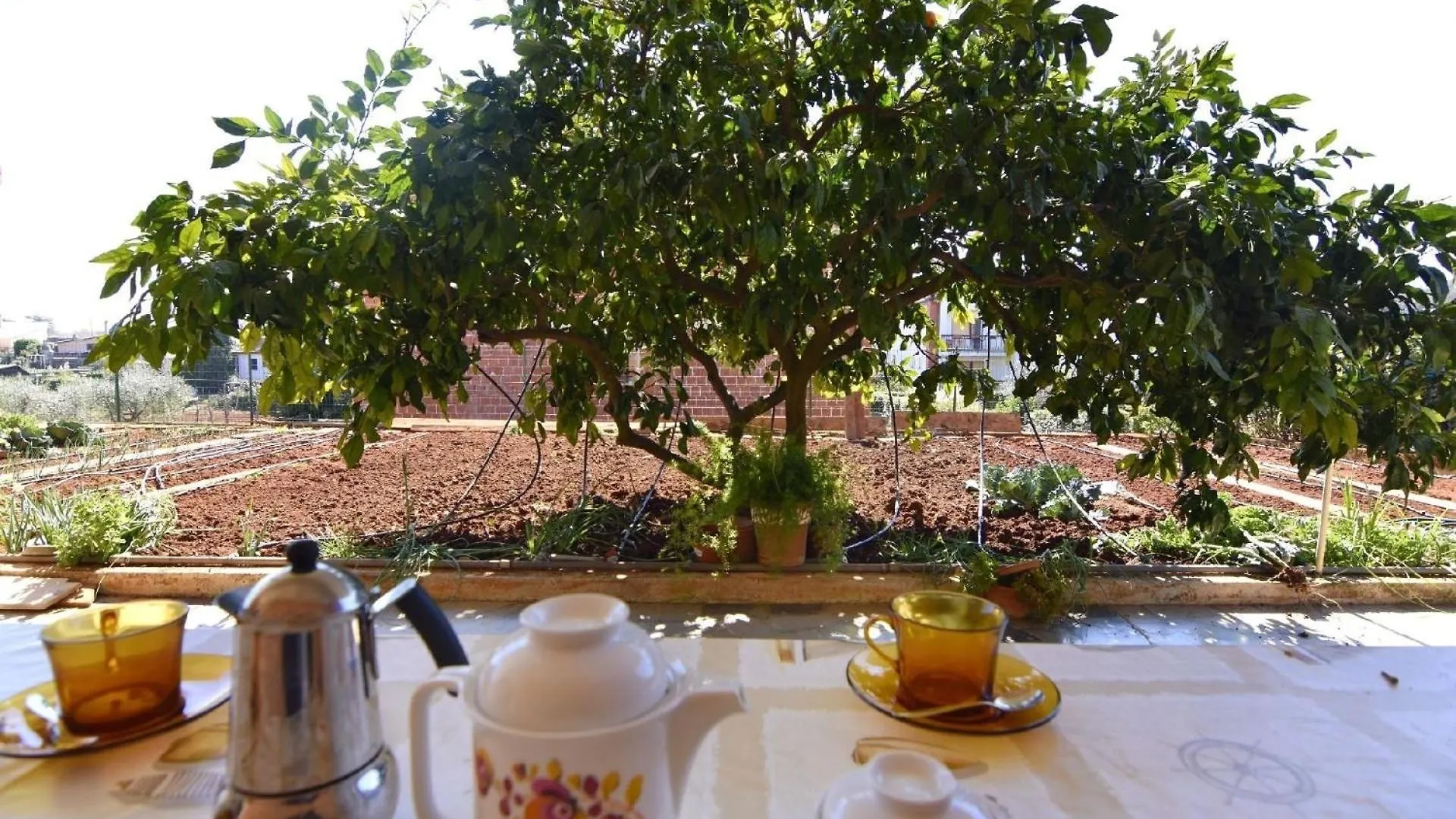Wohnung In Der Naehe Des Strandes Basanija Apartment